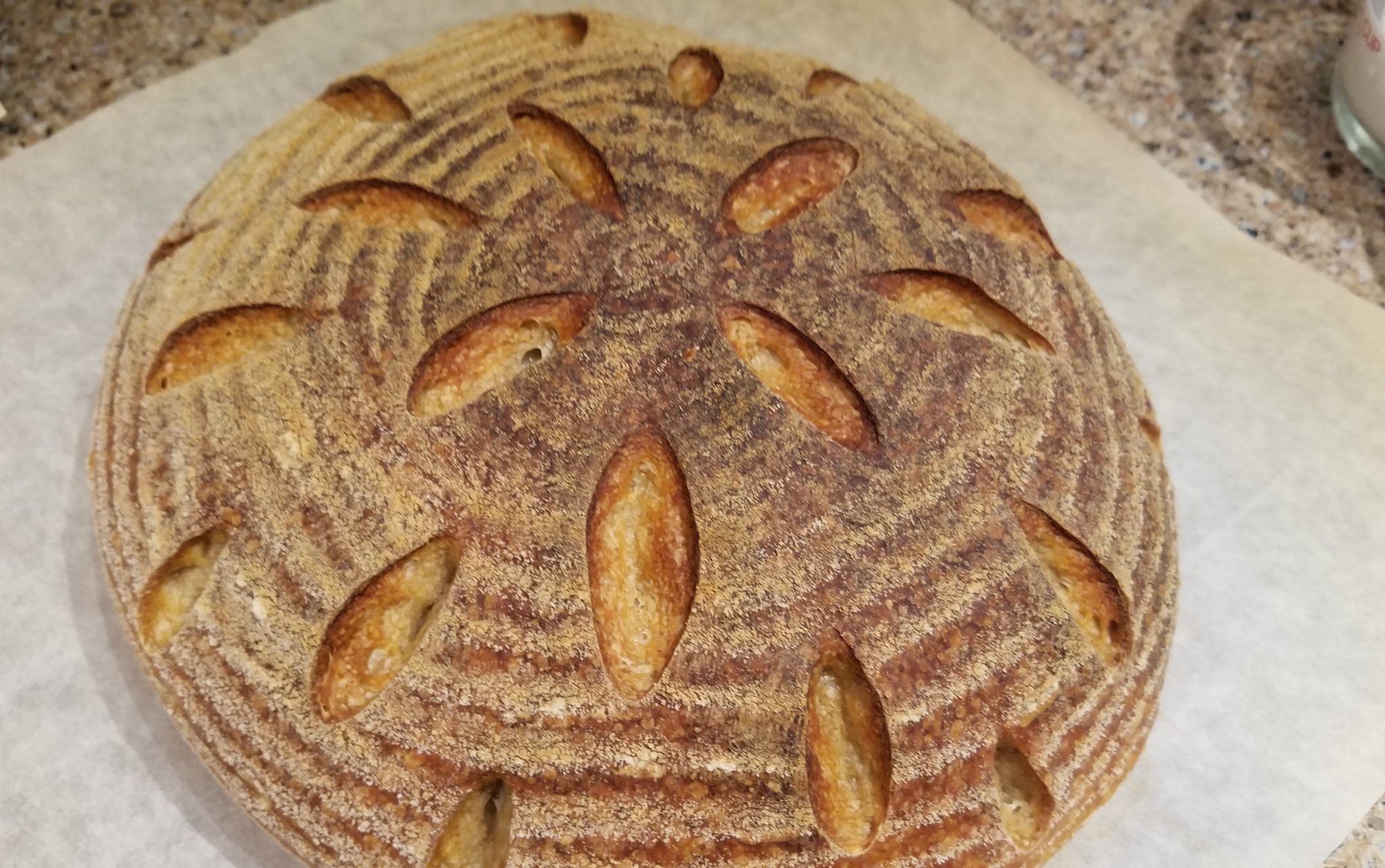 Sourdough Bread